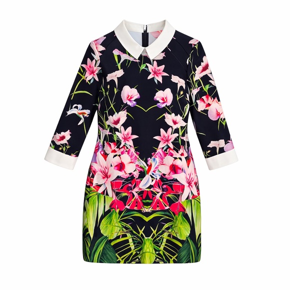 Ted Baker London Youma Mirrored Tropics Collar Dress Size 8 US - Picture 13 of 13